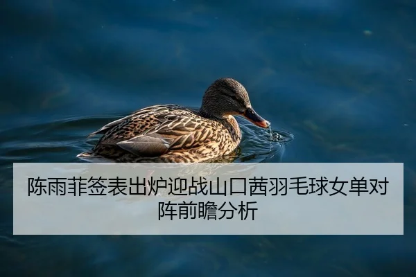 陈雨菲签表出炉迎战山口茜羽毛球女单对阵前瞻分析